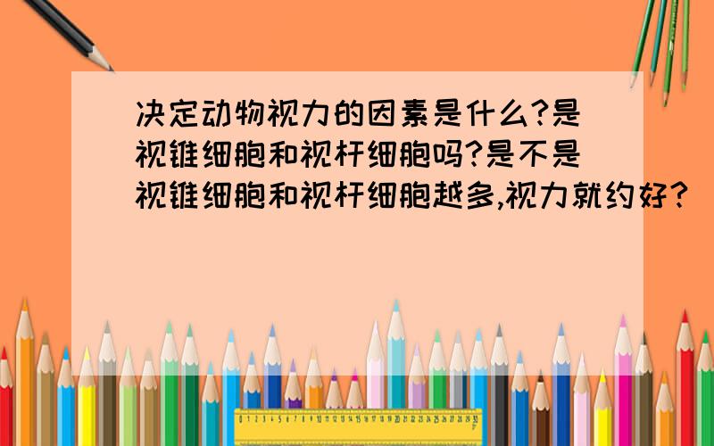 决定动物视力的因素是什么?是视锥细胞和视杆细胞吗?是不是视锥细胞和视杆细胞越多,视力就约好?