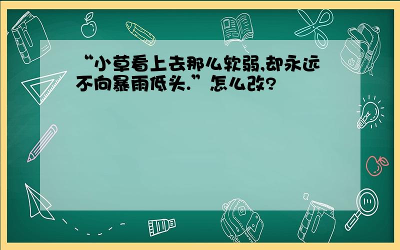 “小草看上去那么软弱,却永远不向暴雨低头.”怎么改?