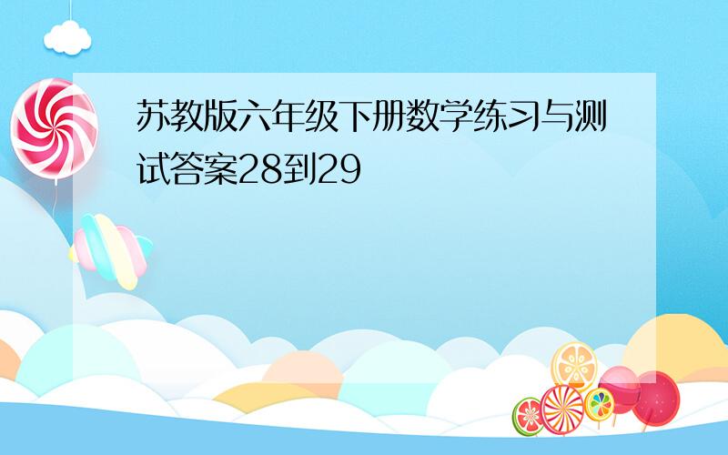 苏教版六年级下册数学练习与测试答案28到29