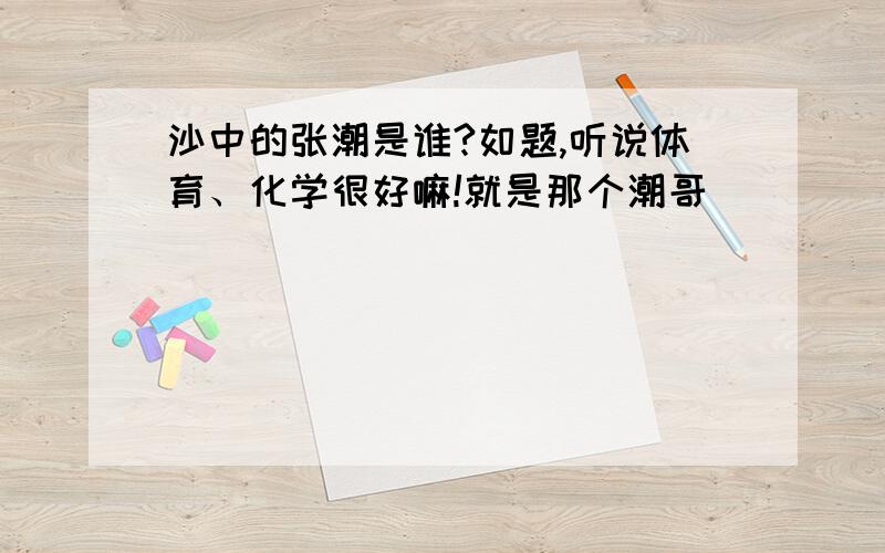 沙中的张潮是谁?如题,听说体育、化学很好嘛!就是那个潮哥