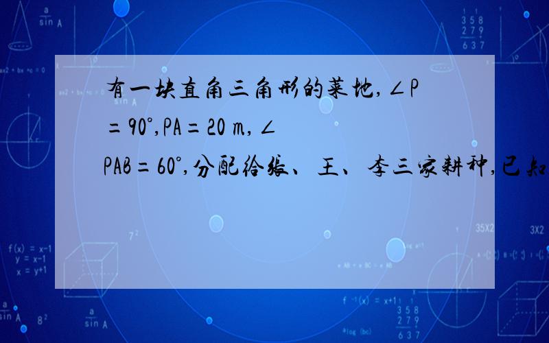 有一块直角三角形的菜地,∠P=90°,PA=20 m,∠PAB=60°,分配给张、王、李三家耕种,已知张、王、李家人口分