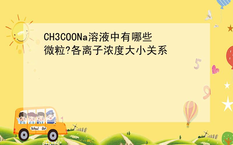 CH3COONa溶液中有哪些微粒?各离子浓度大小关系