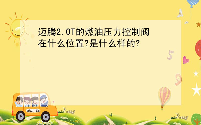 迈腾2.0T的燃油压力控制阀在什么位置?是什么样的?