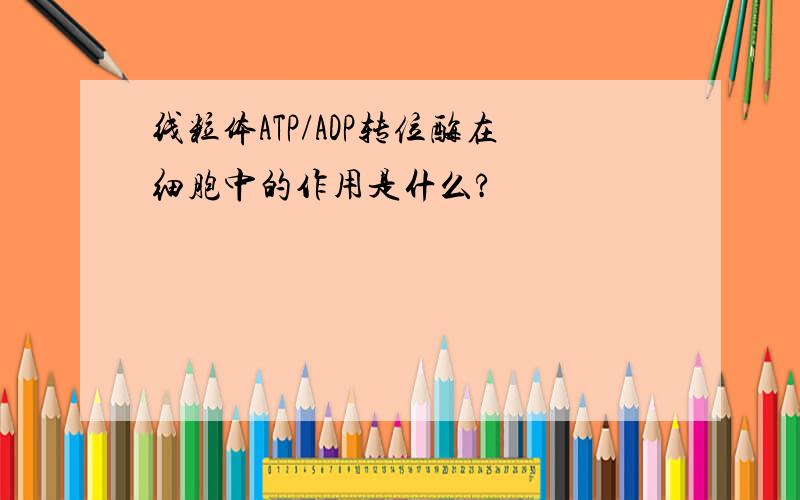 线粒体ATP/ADP转位酶在细胞中的作用是什么?