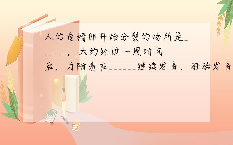 人的受精卵开始分裂的场所是______，大约经过一周时间后，才附着在______继续发育．胚胎发育60天左右，已初具人样