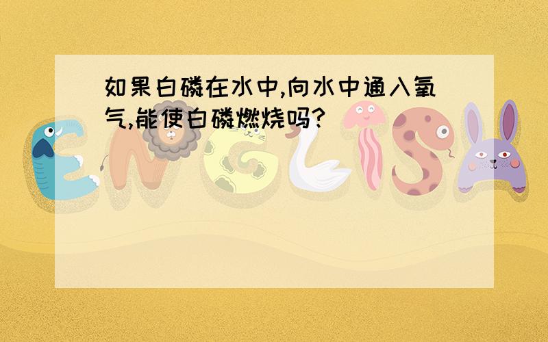 如果白磷在水中,向水中通入氧气,能使白磷燃烧吗?