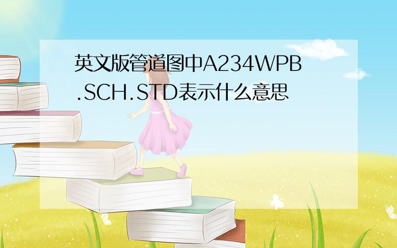 英文版管道图中A234WPB.SCH.STD表示什么意思