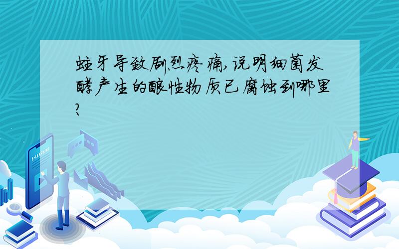 蛀牙导致剧烈疼痛,说明细菌发酵产生的酸性物质已腐蚀到哪里?