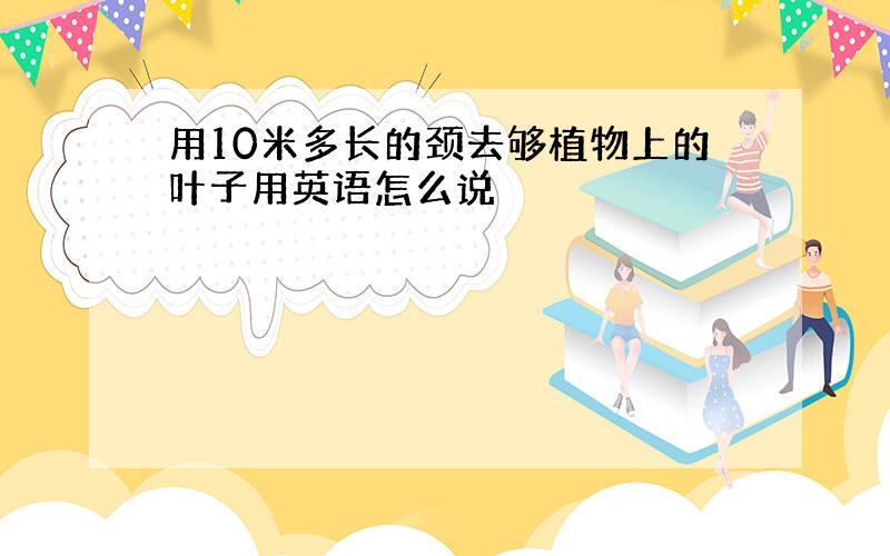 用10米多长的颈去够植物上的叶子用英语怎么说