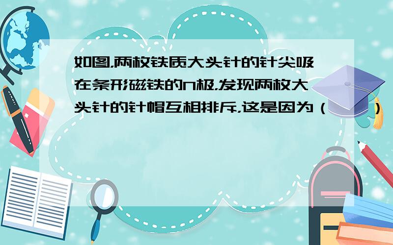 如图，两枚铁质大头针的针尖吸在条形磁铁的N极，发现两枚大头针的针帽互相排斥，这是因为（　　）