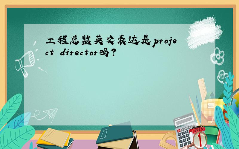 工程总监英文表达是project director吗?