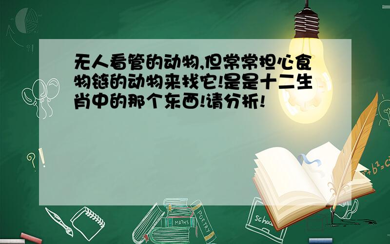 无人看管的动物,但常常担心食物链的动物来找它!是是十二生肖中的那个东西!请分析!