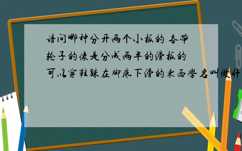 请问哪种分开两个小板的 各带轮子的像是分成两半的滑板的 可以穿鞋踩在脚底下滑的东西学名叫做什么