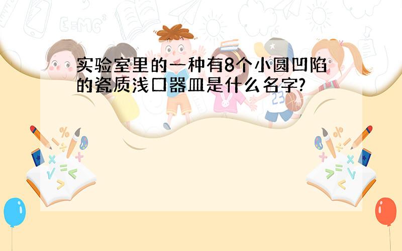 实验室里的一种有8个小圆凹陷的瓷质浅口器皿是什么名字?