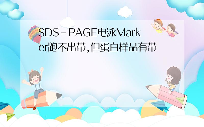 SDS-PAGE电泳Marker跑不出带,但蛋白样品有带