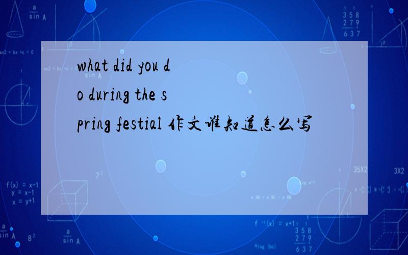 what did you do during the spring festial 作文谁知道怎么写