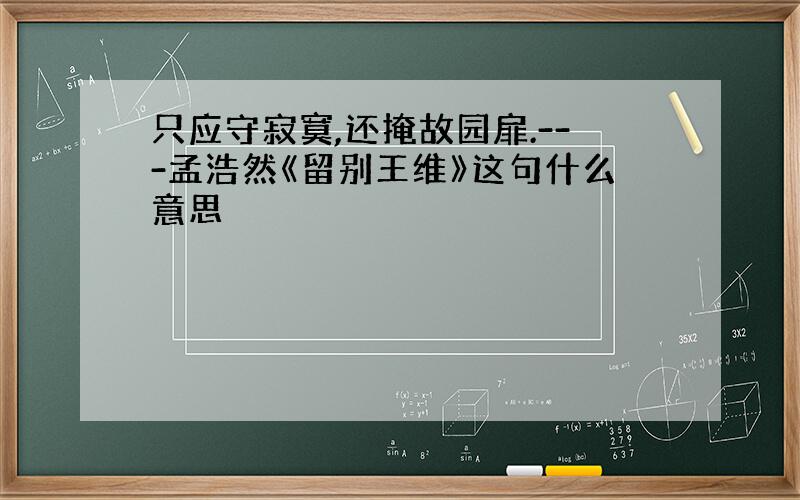 只应守寂寞,还掩故园扉.---孟浩然《留别王维》这句什么意思