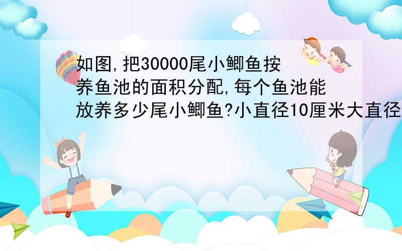 如图,把30000尾小鲫鱼按养鱼池的面积分配,每个鱼池能放养多少尾小鲫鱼?小直径10厘米大直径20厘米