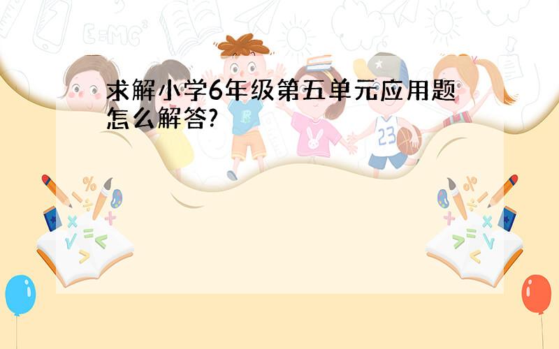 求解小学6年级第五单元应用题怎么解答?