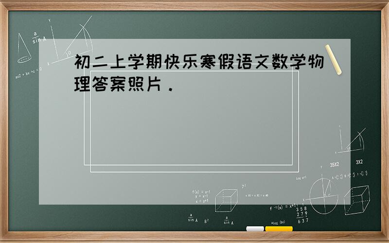 初二上学期快乐寒假语文数学物理答案照片。