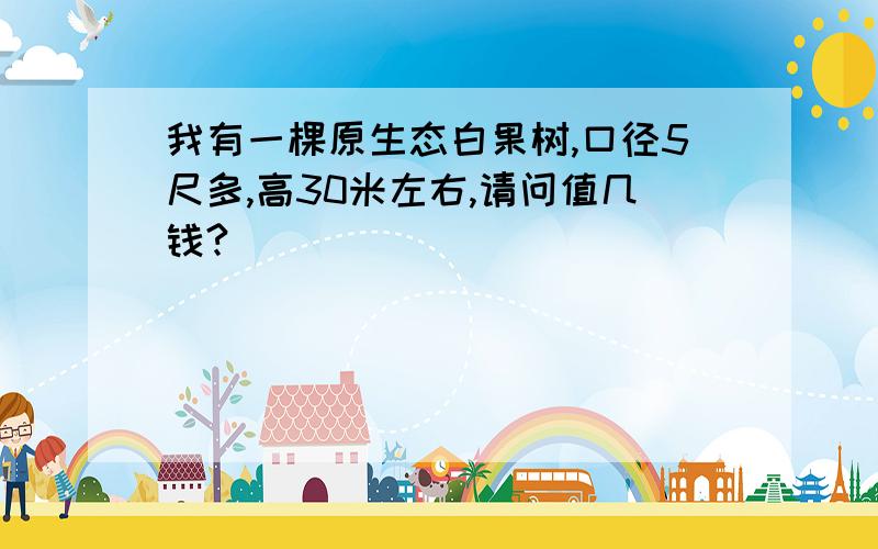 我有一棵原生态白果树,口径5尺多,高30米左右,请问值几钱?