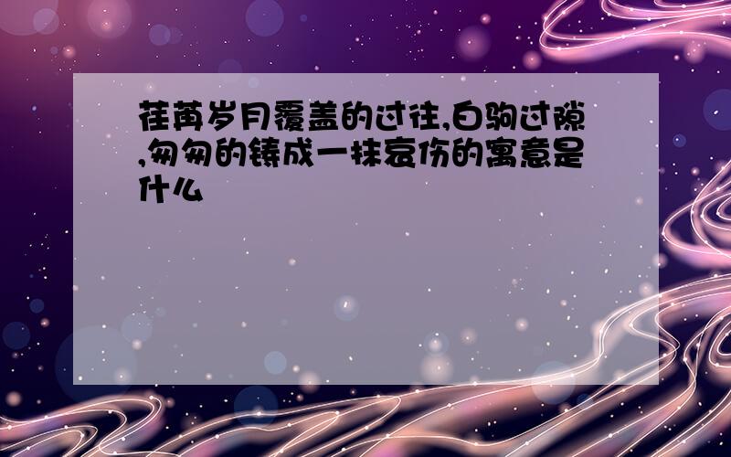 荏苒岁月覆盖的过往,白驹过隙,匆匆的铸成一抹哀伤的寓意是什么