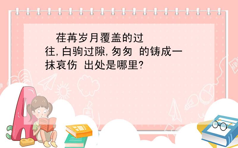  荏苒岁月覆盖的过往,白驹过隙,匆匆 的铸成一抹哀伤 出处是哪里?