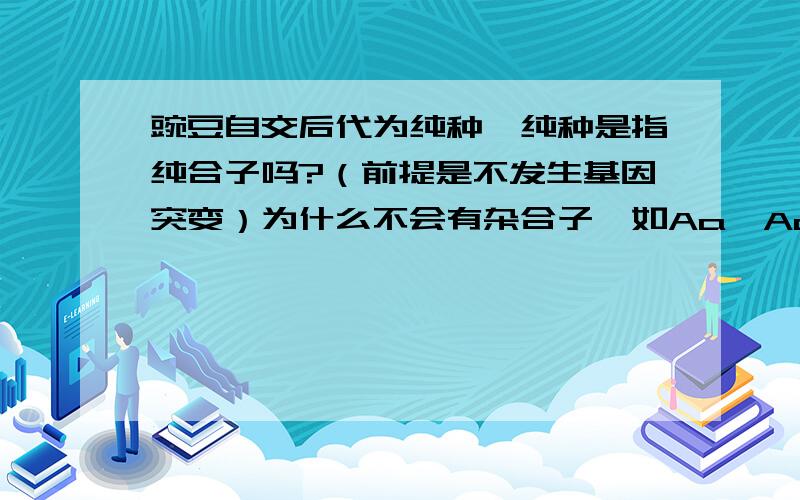 豌豆自交后代为纯种,纯种是指纯合子吗?（前提是不发生基因突变）为什么不会有杂合子,如Aa,Aa的自交.