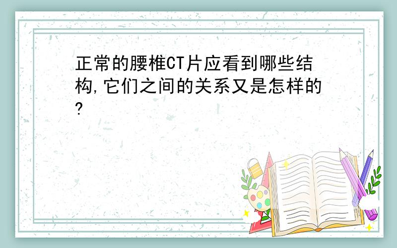 正常的腰椎CT片应看到哪些结构,它们之间的关系又是怎样的?