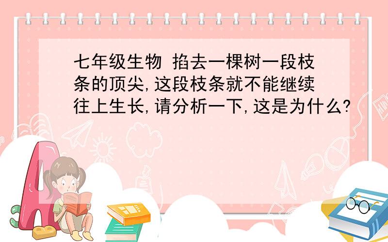 七年级生物 掐去一棵树一段枝条的顶尖,这段枝条就不能继续往上生长,请分析一下,这是为什么?