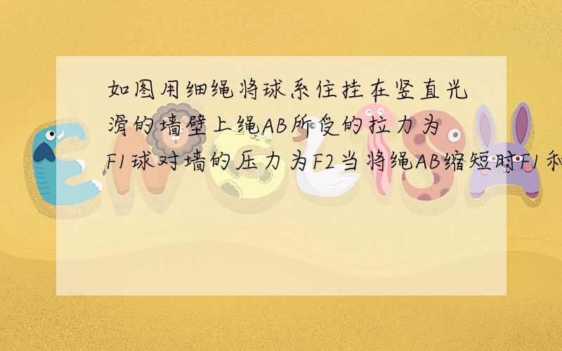 如图用细绳将球系住挂在竖直光滑的墙壁上绳AB所受的拉力为F1球对墙的压力为F2当将绳AB缩短时F1和F2的变化