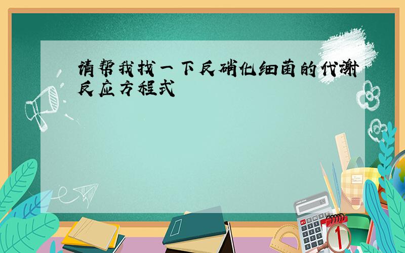 请帮我找一下反硝化细菌的代谢反应方程式