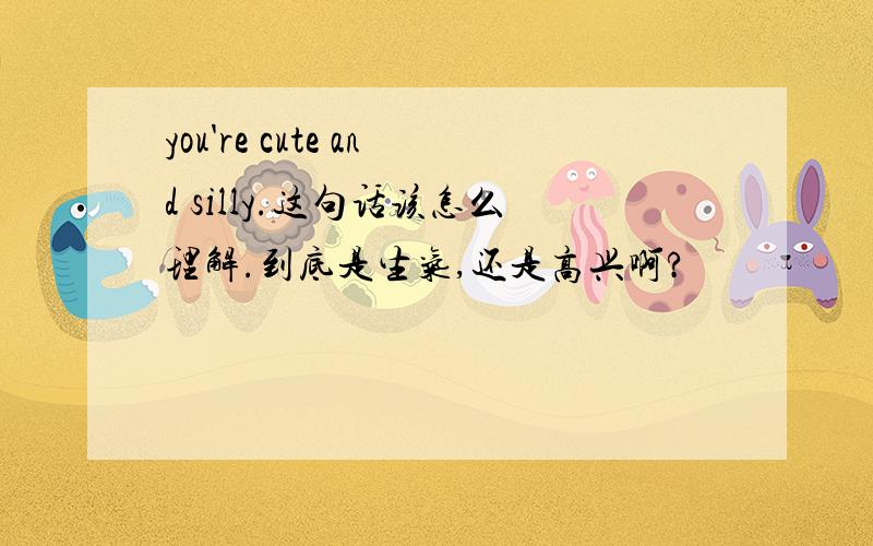 you're cute and silly.这句话该怎么理解.到底是生气,还是高兴啊?