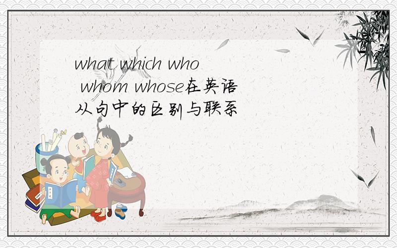 what which who whom whose在英语从句中的区别与联系