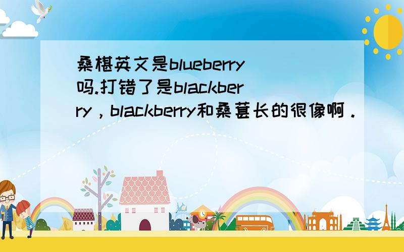 桑椹英文是blueberry吗.打错了是blackberry，blackberry和桑葚长的很像啊。