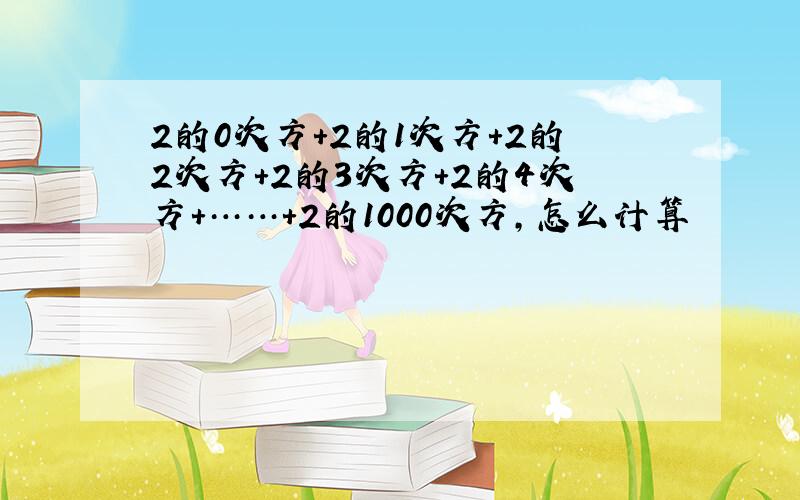 2的0次方+2的1次方+2的2次方+2的3次方+2的4次方+……+2的1000次方,怎么计算