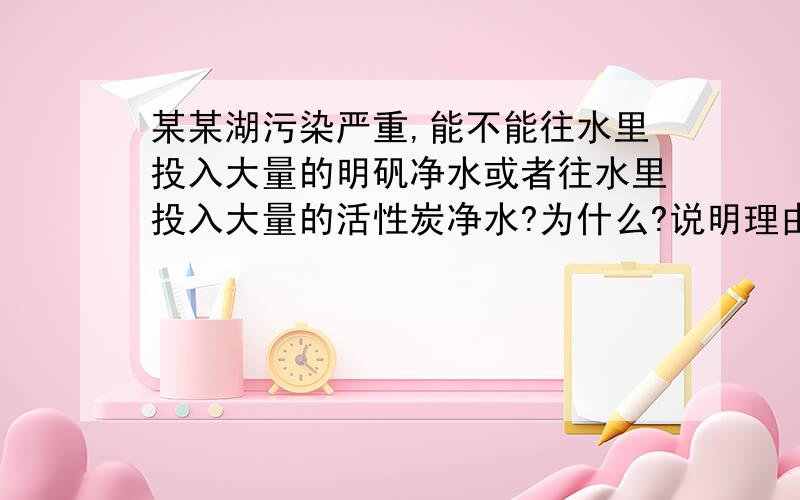 某某湖污染严重,能不能往水里投入大量的明矾净水或者往水里投入大量的活性炭净水?为什么?说明理由!