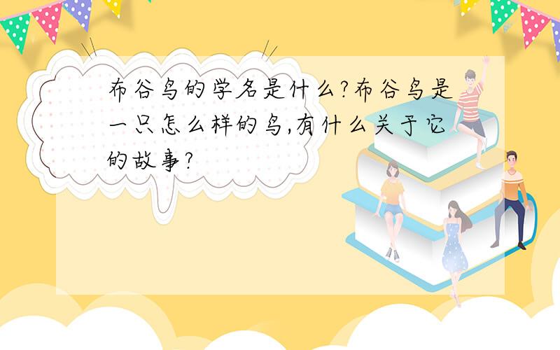 布谷鸟的学名是什么?布谷鸟是一只怎么样的鸟,有什么关于它的故事?