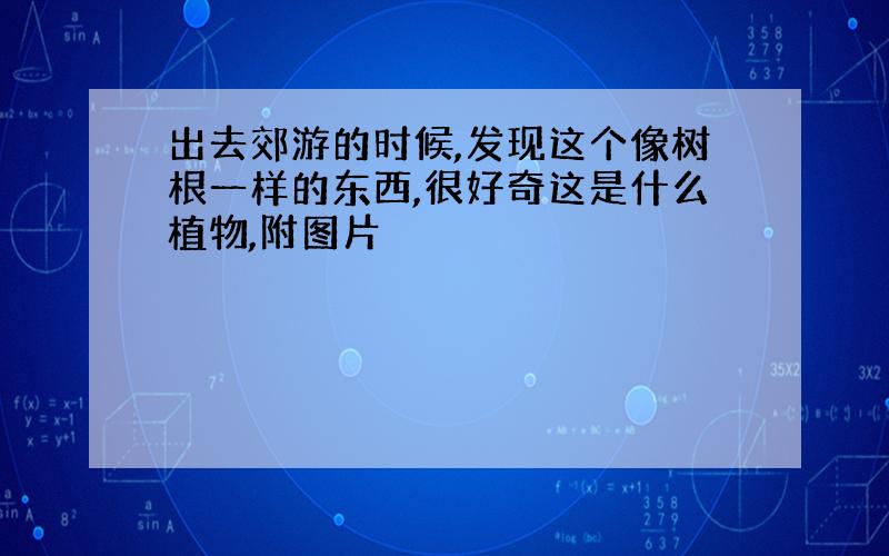 出去郊游的时候,发现这个像树根一样的东西,很好奇这是什么植物,附图片