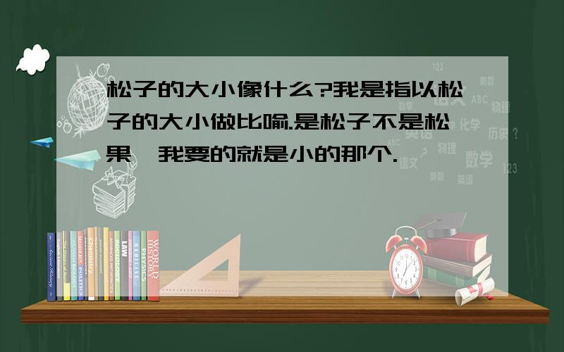 松子的大小像什么?我是指以松子的大小做比喻.是松子不是松果,我要的就是小的那个.