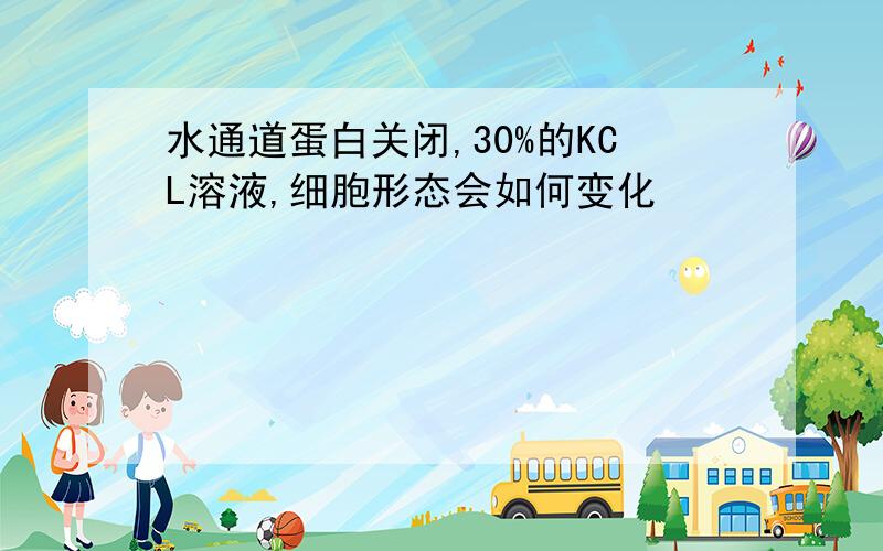 水通道蛋白关闭,30%的KCL溶液,细胞形态会如何变化