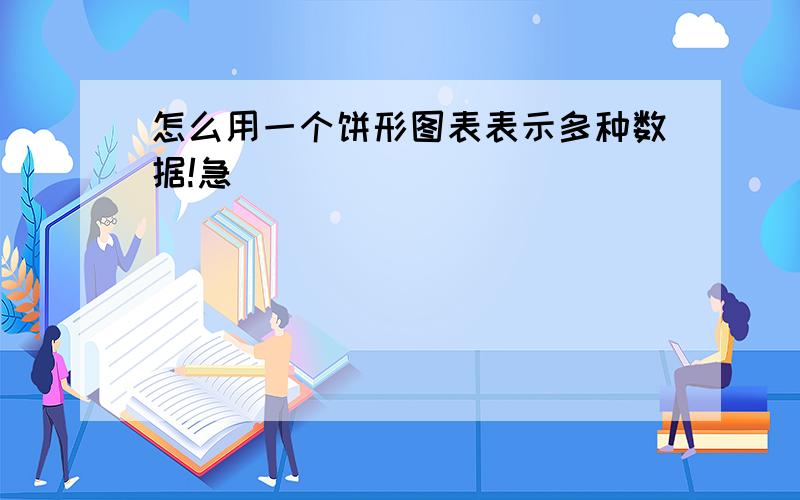 怎么用一个饼形图表表示多种数据!急