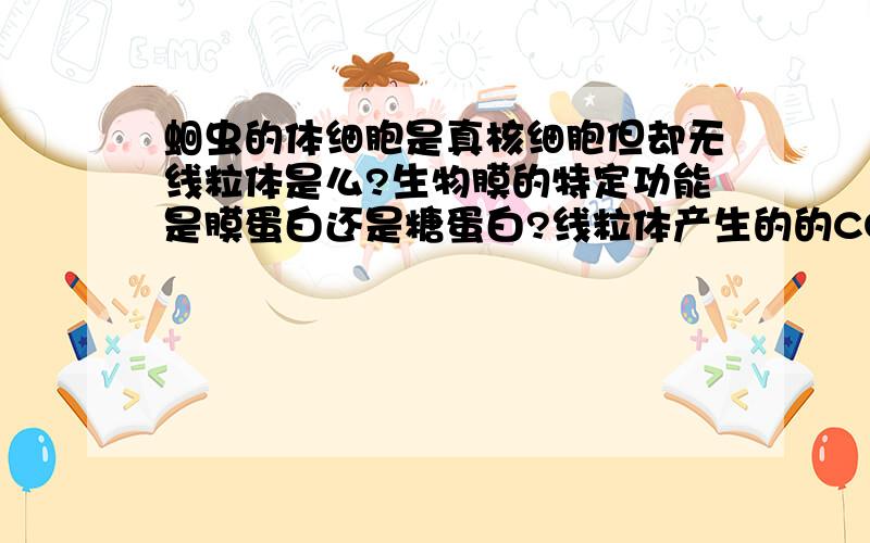 蛔虫的体细胞是真核细胞但却无线粒体是么?生物膜的特定功能是膜蛋白还是糖蛋白?线粒体产生的的CO2是自由扩散进入细胞质基质