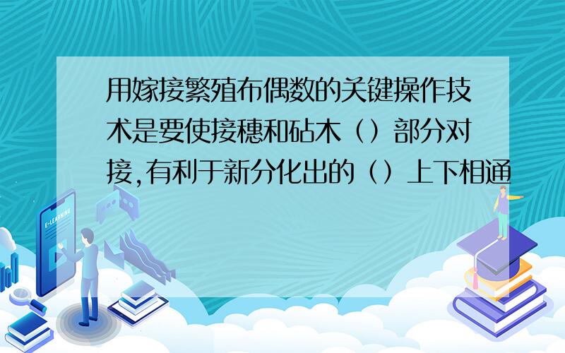 用嫁接繁殖布偶数的关键操作技术是要使接穗和砧木（）部分对接,有利于新分化出的（）上下相通