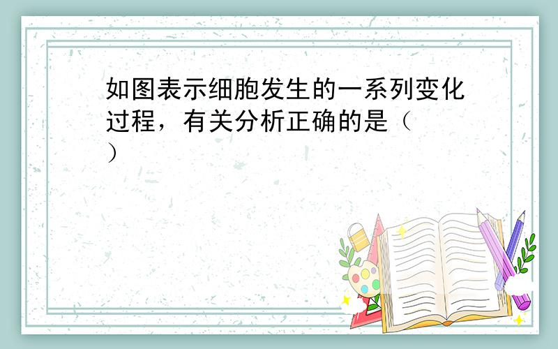 如图表示细胞发生的一系列变化过程，有关分析正确的是（　　）