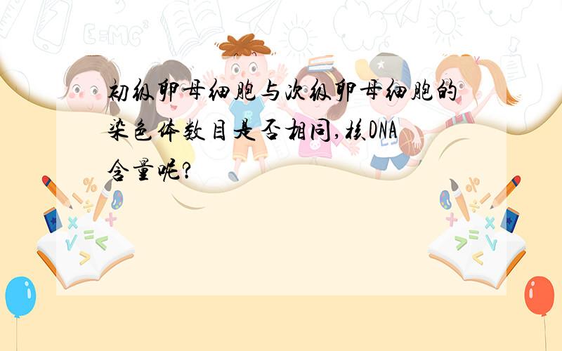 初级卵母细胞与次级卵母细胞的染色体数目是否相同,核DNA含量呢?