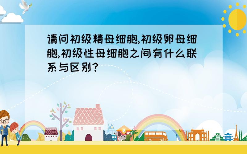 请问初级精母细胞,初级卵母细胞,初级性母细胞之间有什么联系与区别?