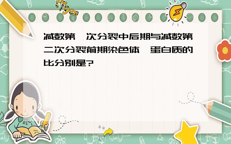 减数第一次分裂中后期与减数第二次分裂前期染色体、蛋白质的比分别是?