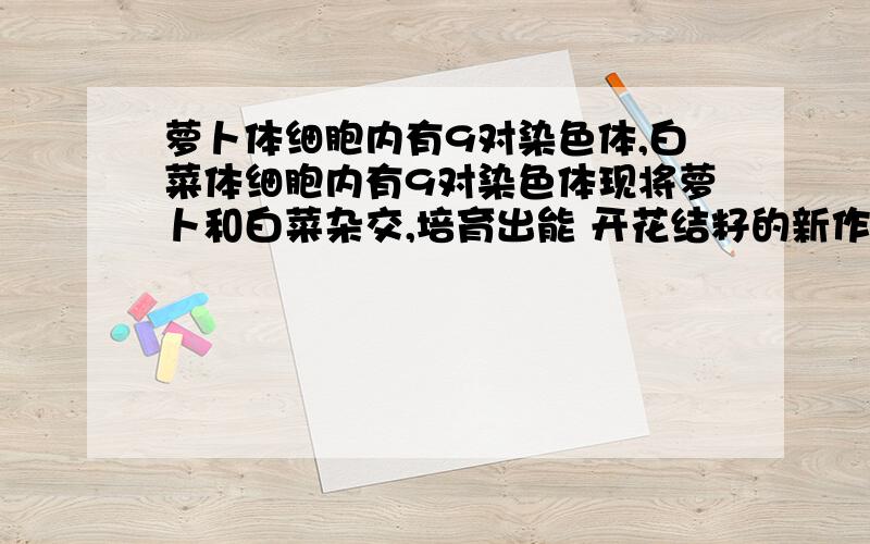 萝卜体细胞内有9对染色体,白菜体细胞内有9对染色体现将萝卜和白菜杂交,培育出能 开花结籽的新作物,这种作