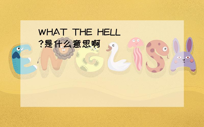 WHAT THE HELL ?是什么意思啊